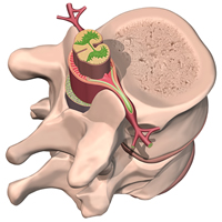 How does Osteopathy relieve pain?